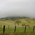 Ramirez_Mountains_Mist