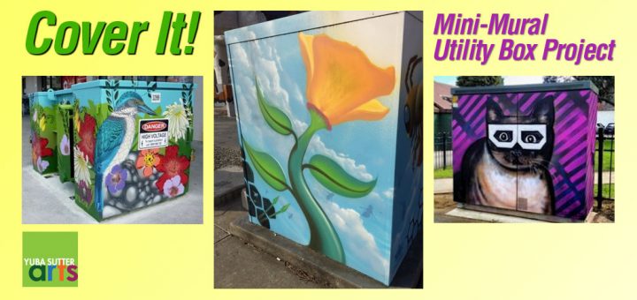 Cover It! Utility Box Project